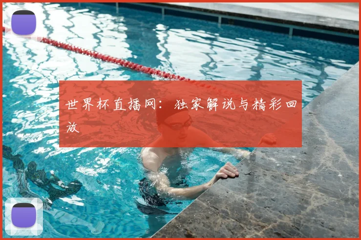 世界杯直播网:独家解说与精彩回放